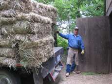 Delivering square hay bales