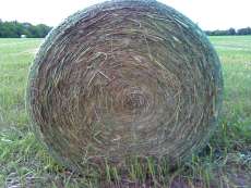 One Round Hay Bale 