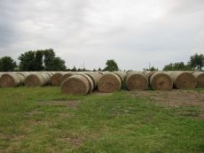 Round hay bales in Kansas field