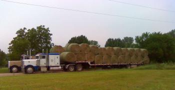 Round hay bales on tractor trailer flatbed