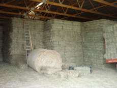 Square hay bales in barn