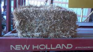Straw for Sale - Small Squares Wichita KS